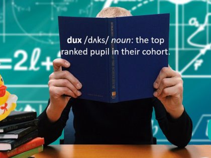DUX_Orientation_Report_01_2017